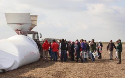 Poscosecha de granos en silo bolsa