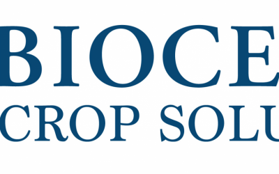 Bioceres Crop Solutions Corp. reporta resultados financieros para el tercer trimestre y anuncia acuerdos de reestructuración de deuda