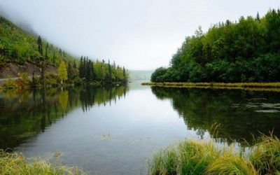 Apenas un tercio de los ríos más largos del mundo fluyen libremente, revela estudio publicado enNature