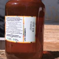 Cooperativas apícolas concretan su primera exportación a Colombia a través de la plataforma Exporta Simple