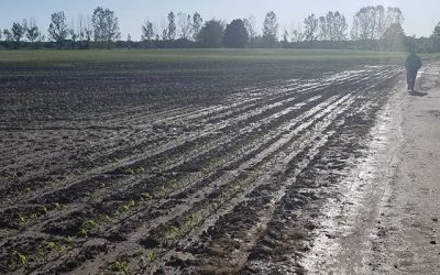 John Phipps: ¿Es demasiado temprano para hablar de una helada temprana?