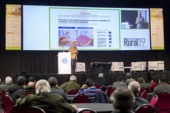 Proteínas artificiales musculares, la carne sin carne