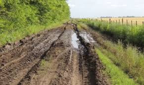 El 71% de los caminos bonaerenses tiene inconvenientes