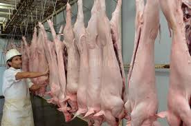 Primera exportación de carne porcina a China