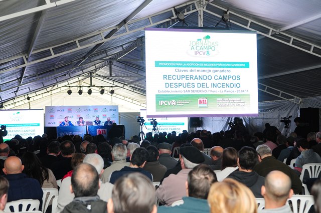 Más de 350 productores participaron en el seminario ganadero del IPCVA en La Pampa