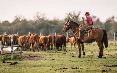Los trabajadores rurales piden un arreglo salarial