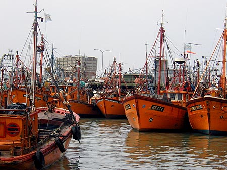 Crecieron los desembarques de productos pesqueros en puertos de la Provincia de Buenos Aires