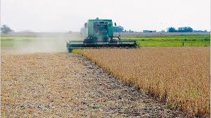 El “dólar soja” ya cotiza un 60% por debajo del Contado con Liquidación