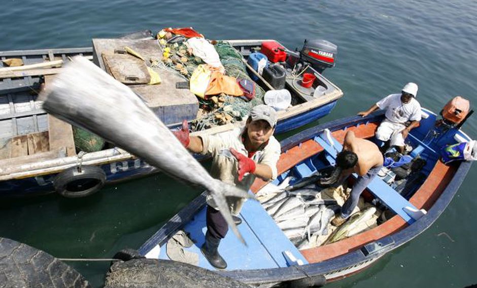 Se expandió la demanda interna de recursos pesqueros en un 18%