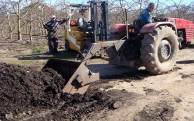 Enmiendas orgánicas en huertos frutales