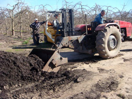 Enmiendas orgánicas en huertos frutales