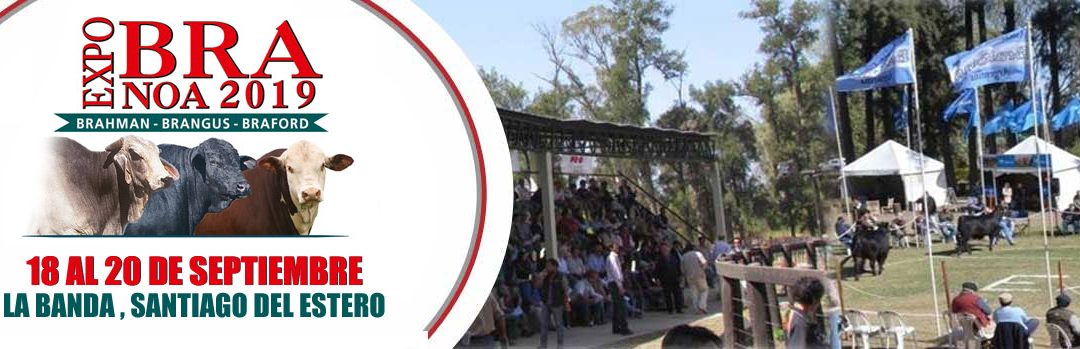 Se viene una nueva edición de EXPOBRA en Santiago del Estero, del 18 al 20 de septiembre
