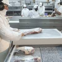 China autorizó ocho establecimientos argentinos de carne bovina para exportar