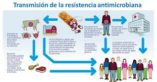 La resistencia a los antibióticos está aumentando drásticamente
