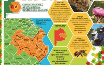 Identifican oportunidades para el cluster apícola de la Cuenca del Salado