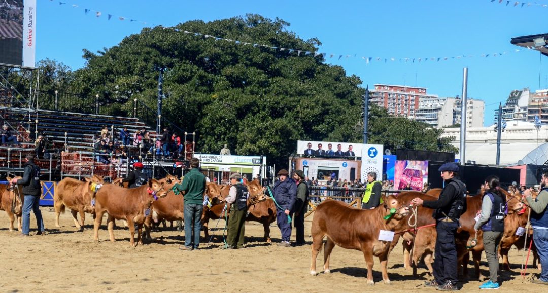 Limousin estará en la 72º Exposición de Ganadería, Industria y Comercio de la Sociedad Rural de Jesús María, Córdoba