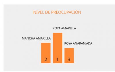 ¿Qué piensan los productores sobre la sanidad del trigo?