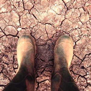 Para prevenir el próximo Dust Bowl, dele una oportunidad al  suelo