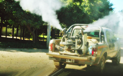 Plagas urbanas, como cucarachas, alacranes y vinchucas” sin control con agroquímicos en Pergamino