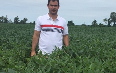 Insectos de suelo: plagas determinantes en el rendimiento del cultivo