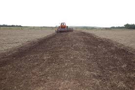 Córdoba recibió lluvias en los últimos 10 días iguales a los 100 anteriores, según informe privado