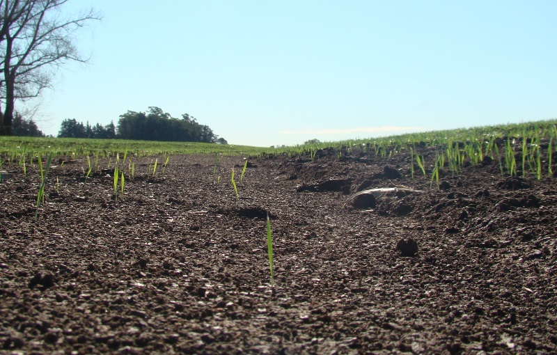 El 36 % del suelo argentino sufre procesos de erosión