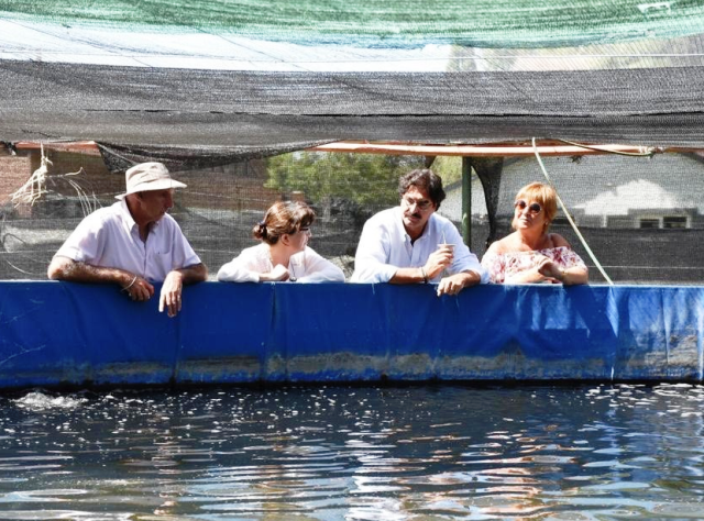 Nuevo repoblamiento de lagunas bonaerenses con larvas de pejerrey