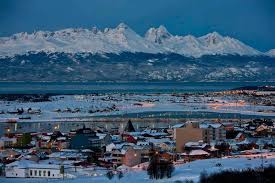 Vida Silvestre presenta ArgentiNat, una plataforma de ciencia ciudadana