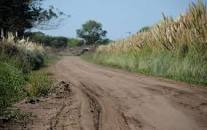 Caminos rurales: su importancia en el desarrollo de la economía