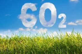 Se llevó a cabo en la Bolsa de Cereales el primer encuentro del  Programa Argentino de Carbono Neutro