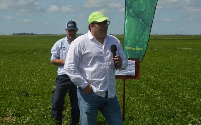 Soja: Cuando la fertilización foliar se transforma en rinde