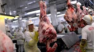 En enero de 2022, la faena de bovinos alcanzó 972 mil cabezas, 14 por ciento inferior a diciembre de 2021