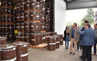 Son 9 las industrias apícolas bonaerenses que podrán exportar miel a China