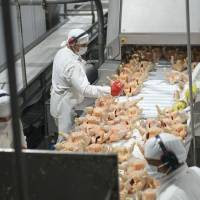 China habilitó 19 plantas frigoríficas para exportar carnes