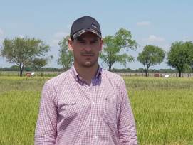 Frenar los ataques de Bolillera en soja para no perder kilos
