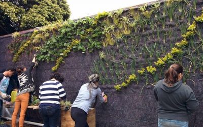 El ABC de los jardines verticales: qué son y qué beneficios traen