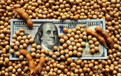 ¿Cuál es la “retención” invisible que comenzaron a sufrir las empresas agrícolas con el nuevo régimen cambiario?