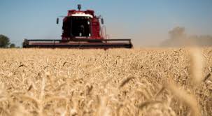 Argentina insólita: el agro (principal fuente de generación de divisas) se está quedando sin combustible en plena cosecha fina