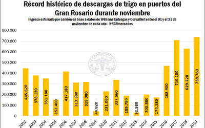 Ingreso récord de trigo en los puertos del Gran Rosario