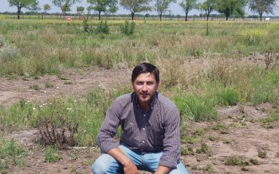 La estrategia de control de malezas debe ser artesanal