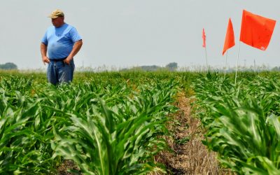 Lo que el viento se llevó: cómo perder toda la vida de la salud del suelo