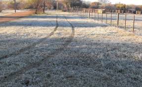 Prevén temperaturas bajo lo normal, luego ascenso térmico