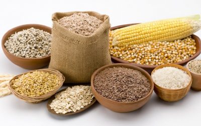 FAO pronostica cosechas récord de cereales para América del Sur en 2019