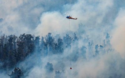 El humo de los incendios de Australia ingresó a la Argentina desde Chile