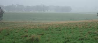 La recuperación comenzó… pero falta