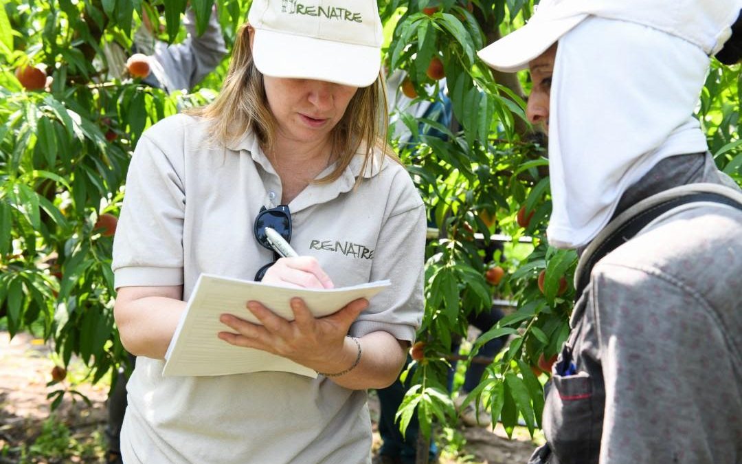 El RENATRE detectó 12.994 trabajadores no registrados durante las fiscalizaciones del 2019
