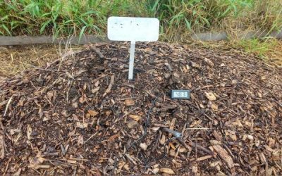 El INTA lanza una encuesta sobre residuos orgánicos