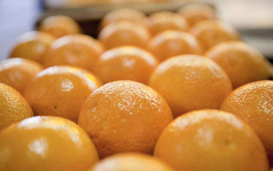 El reempadronamiento de los entes sanitarios es hasta el 11 de febrero