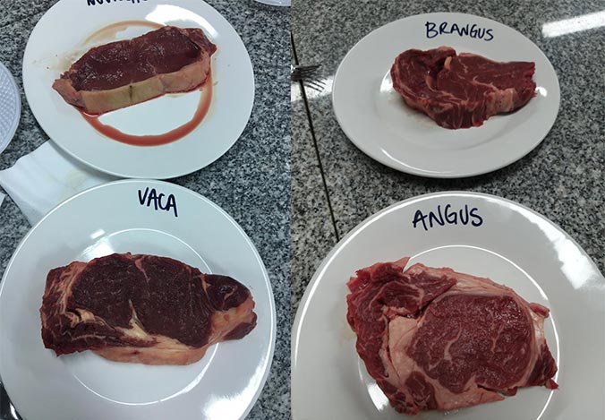 La ganadería se acerca más al consumidor