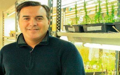 Un científico argentino desarrollará “superplantas” adaptables al cambio climático